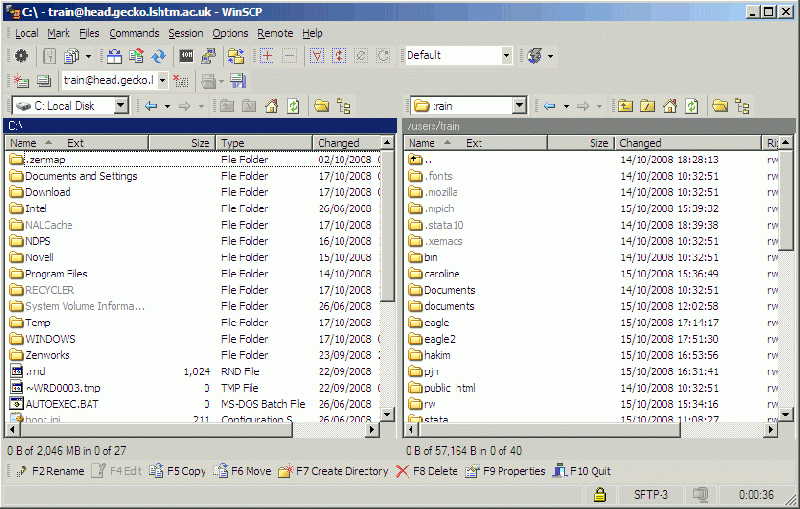 File:Winscp-connected.gif